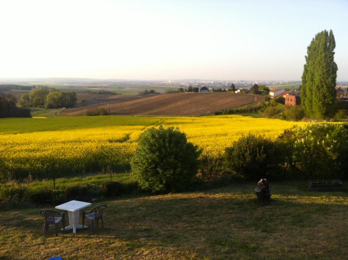 Villa Reims Epernay Champagne Vineyard Villers-Allerand Dış mekan fotoğraf