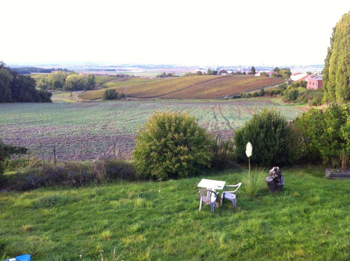 Villa Reims Epernay Champagne Vineyard Villers-Allerand Dış mekan fotoğraf
